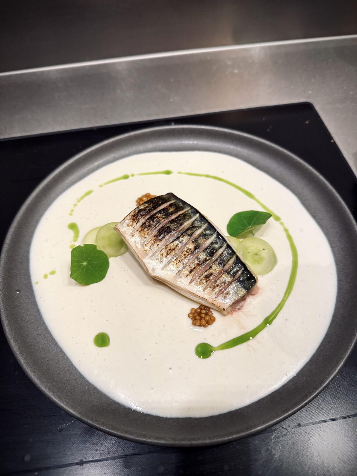 Torched mackerel, ajo blanco, grape, parsley oil Torched mackerel, ajo blanco, grape, parsley oil