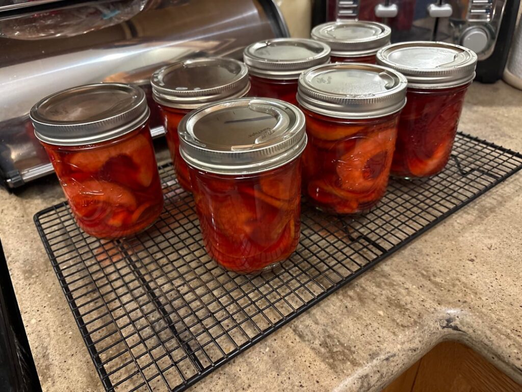 Brandy Apple Rings (Ball Complete)