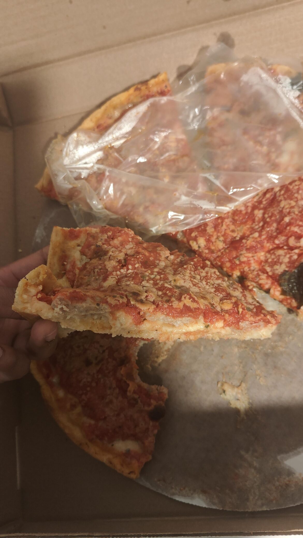 This is the saddest deep dish pizza Ive ever spent money on. Lou malnati's deep dish sausage patty.