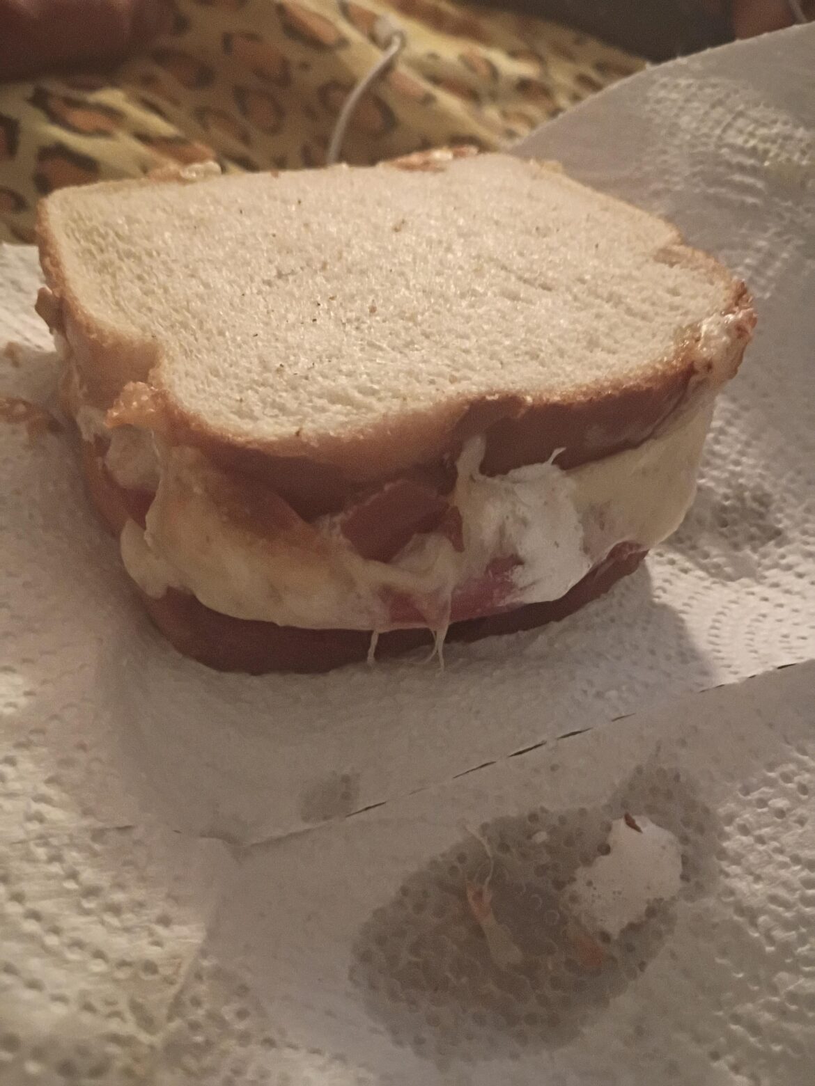 Peanut butter, fluff, salami, cheese, air fryer
