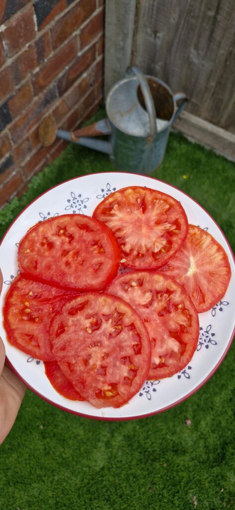 Nothing like a home grown tomato