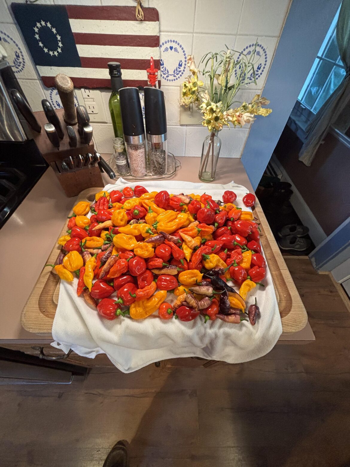 First harvest (central CT)