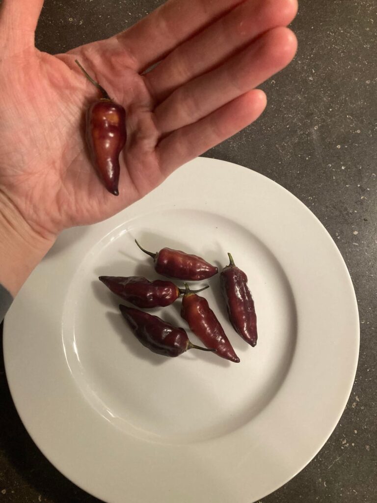 I have no clue what these are?!