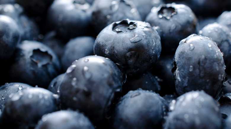 A pile of blueberries with water droplets on them
