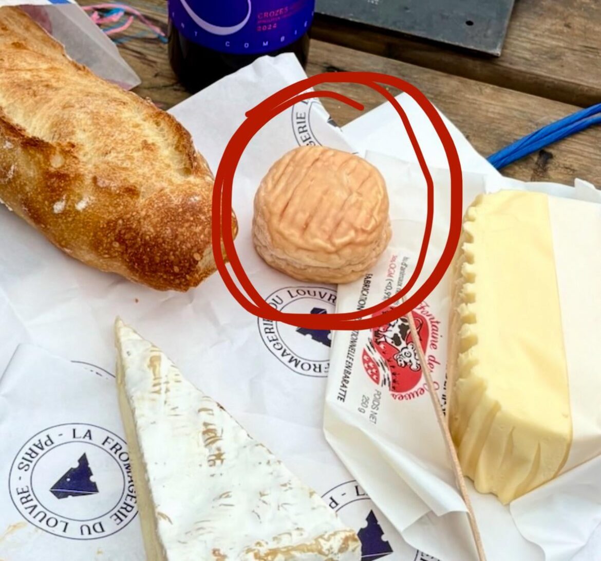 Does anyone know what this cheese is?