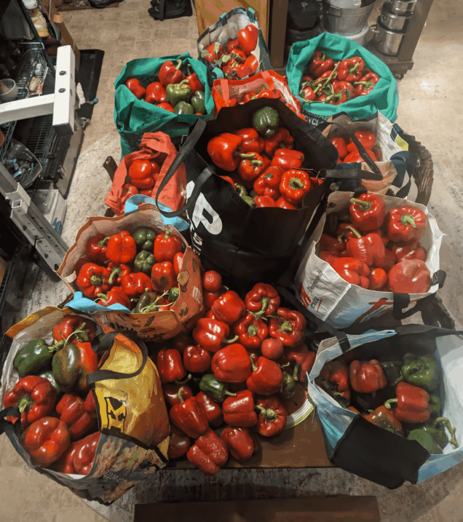 I have a new problem. Give me ideas please. I have a new problem. Give me ideas please.