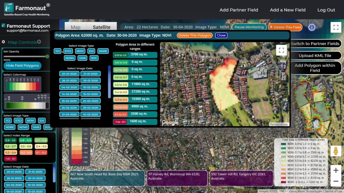 Arbequina Olive Tree & Wild Olive: Top 2026 Trends Arbequina Olive Tree & Wild Olive: Top 2026 Trends