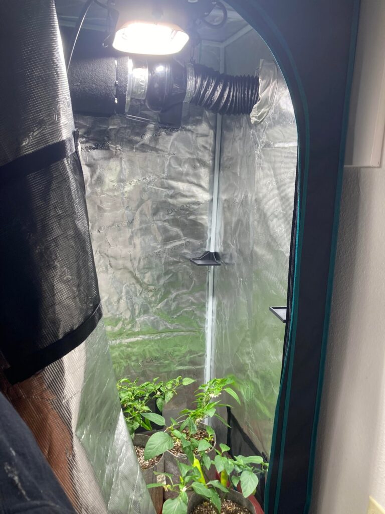 [SpongeBob’s Voice] “Indooorrrs”