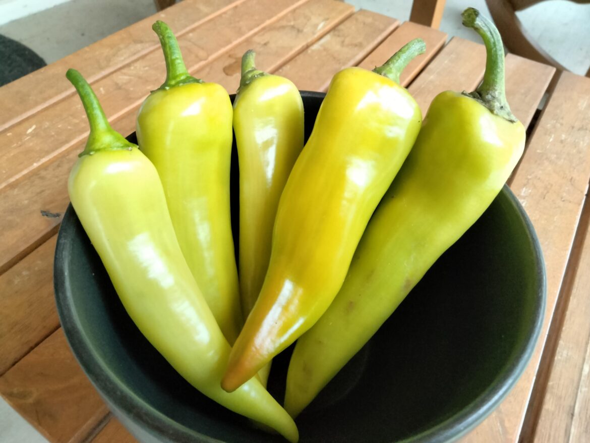 Sweet Banana Peppers