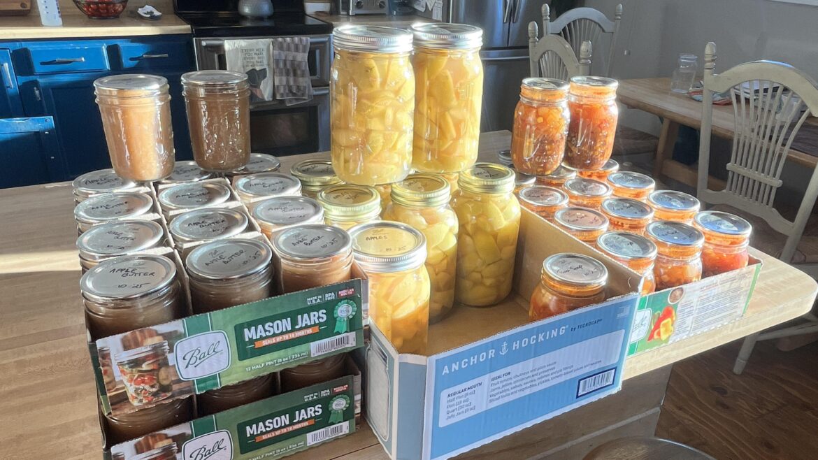 Free apples = delicious food!