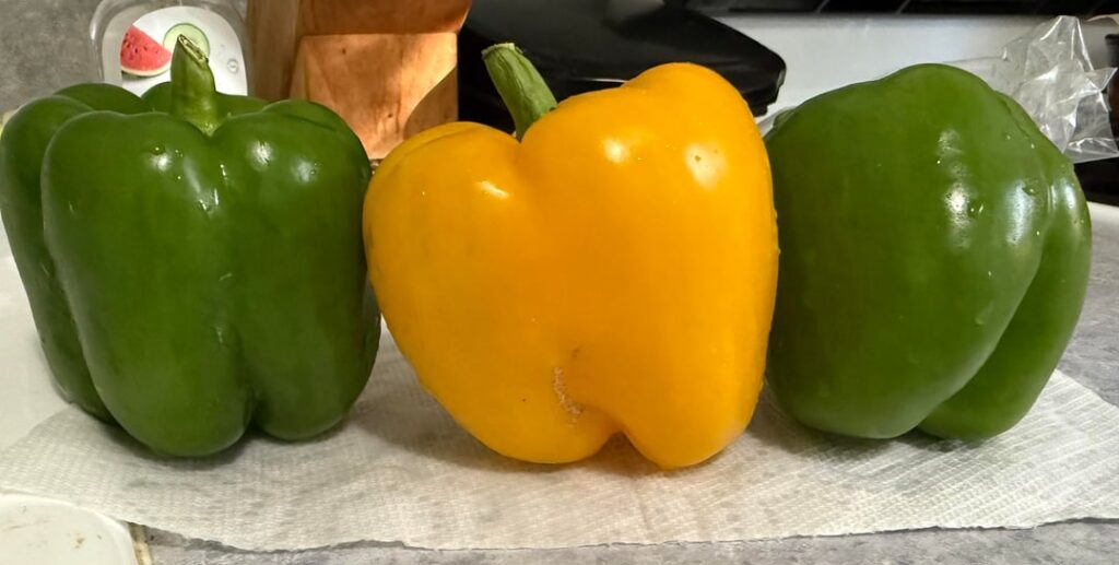 Made stuffed peppers from my harvest