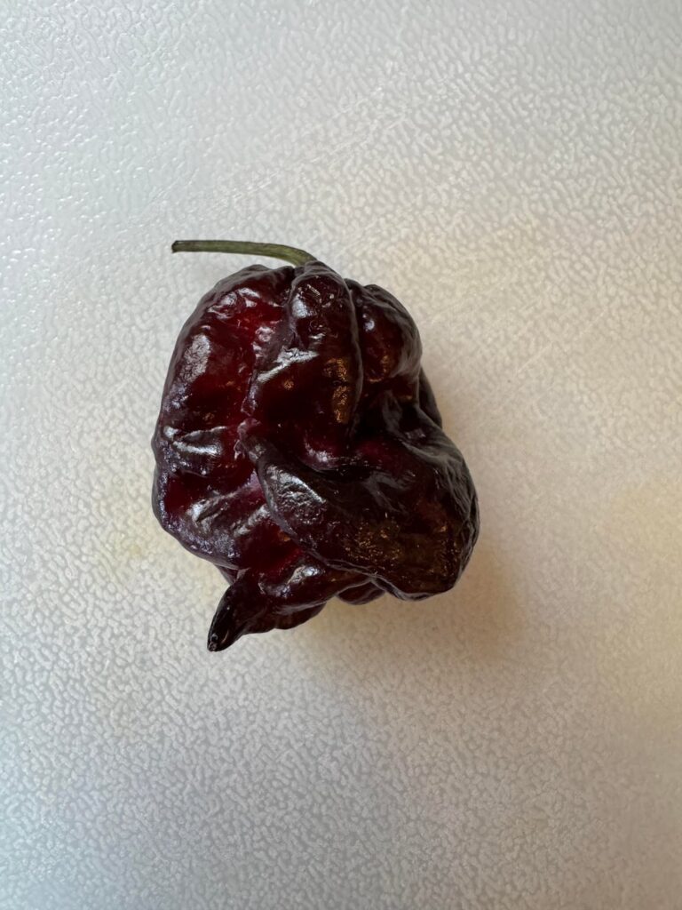 Purple Gator Jigsaw! Think I’ve peaked Purple Gator Jigsaw! Think I've peaked