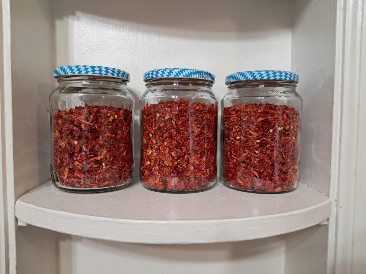 Three Jars of dried, crushed cayenne from this season's harvest