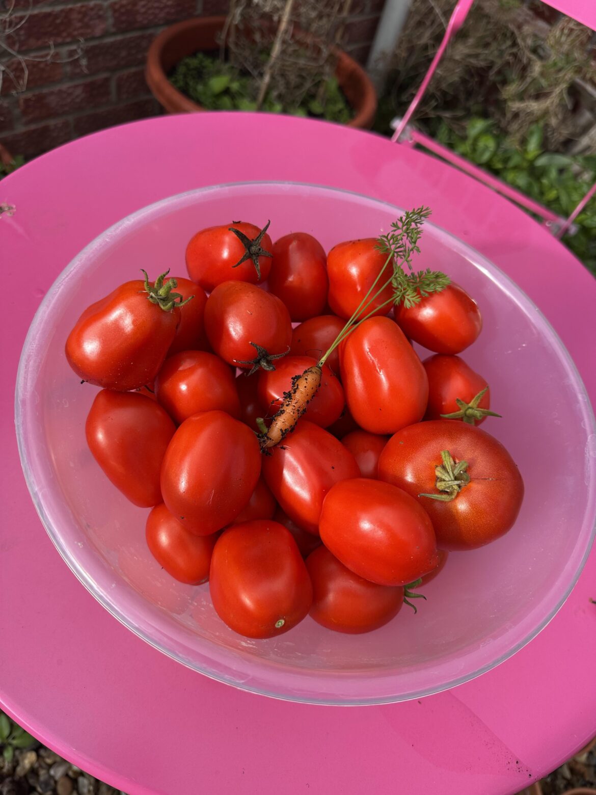 2.2 kilos at this time of year! 🇬🇧