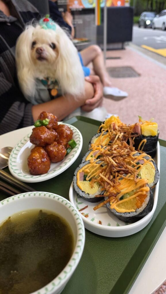 Kimbap, soup and fried chicken (special guest: my dog)