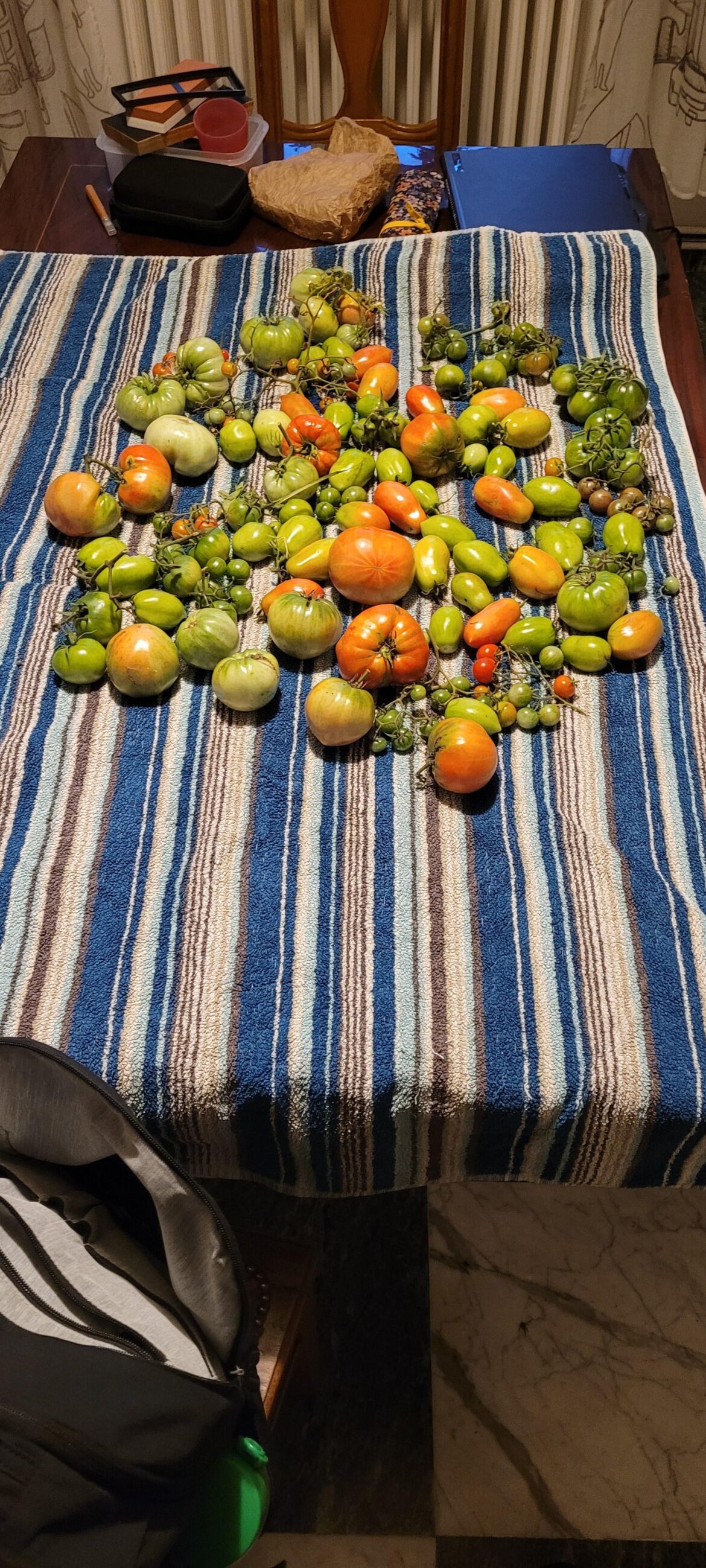 What do I do with these ?