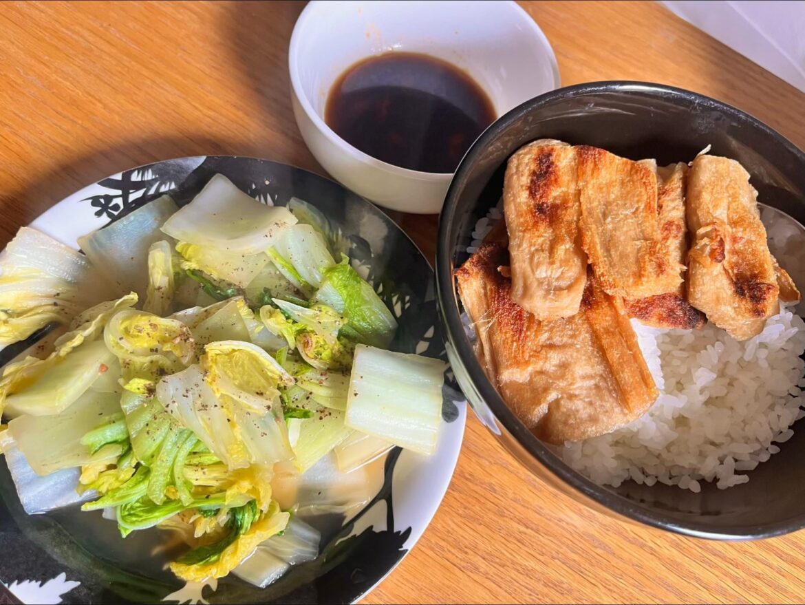 🥗 vegan 🌱 in japan