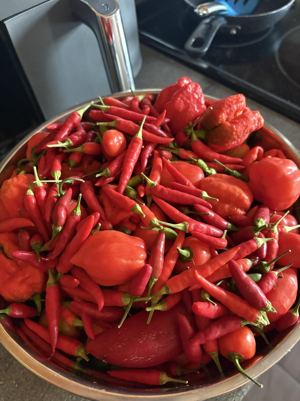 The first half of this year’s haul