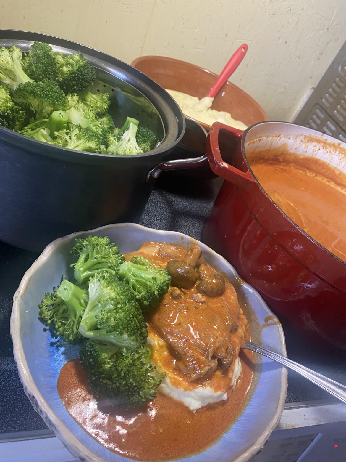 I made chicken paprikash with potatoes and broccoli and it came out awesome