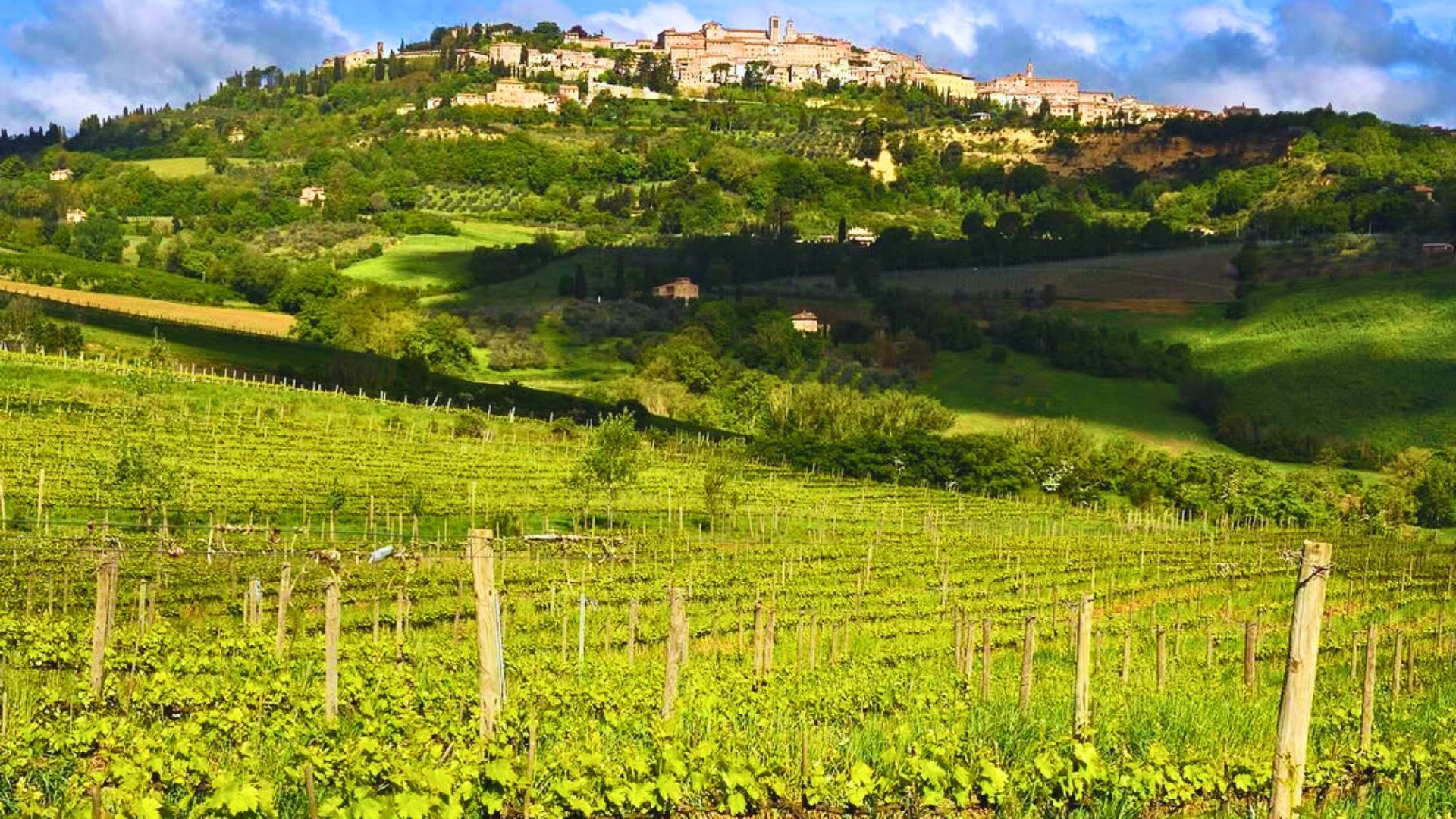 Tuscany wine tasting 