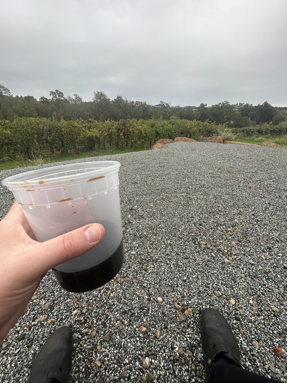 Morning Chefs, you’ve done a lot of Chive scrolling come and rest a minute.