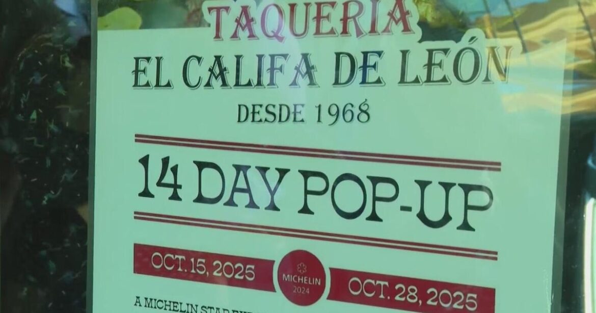 Michelin-starred taqueria closes Dallas pop-up early over quality concerns Michelin-starred taqueria closes Dallas pop-up early over quality concerns