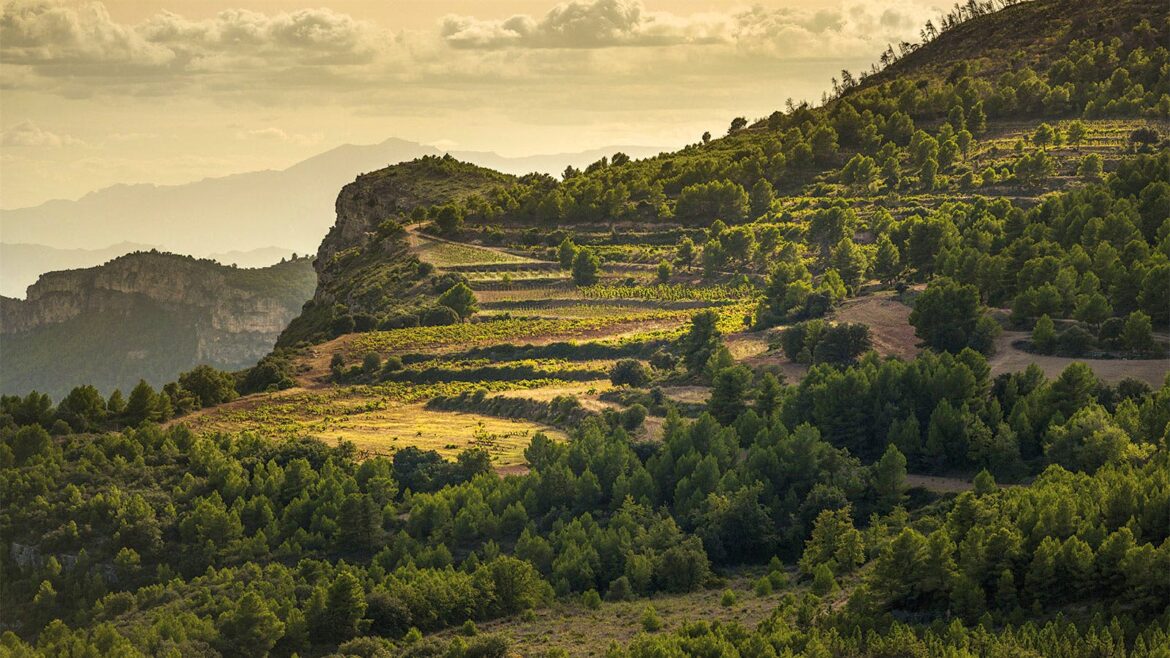 The Spirit of Spain: Tasting Report