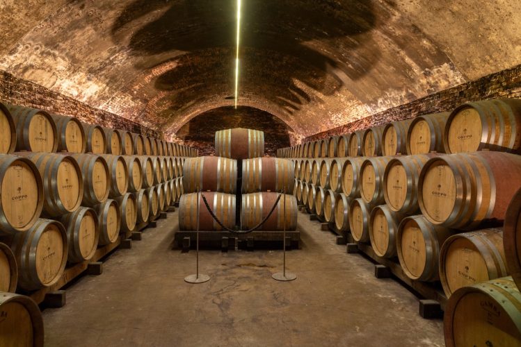 Stacks of Coppo Winery barrels line the walls and center of a brick underground cathedral hallway.  
