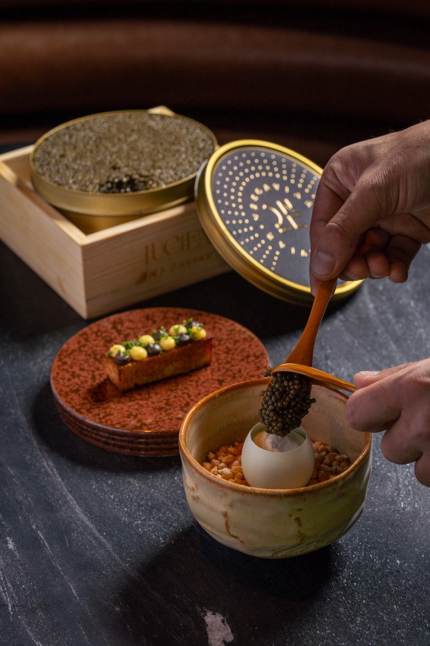 The first course at Lucien restaurant in La Jolla is...