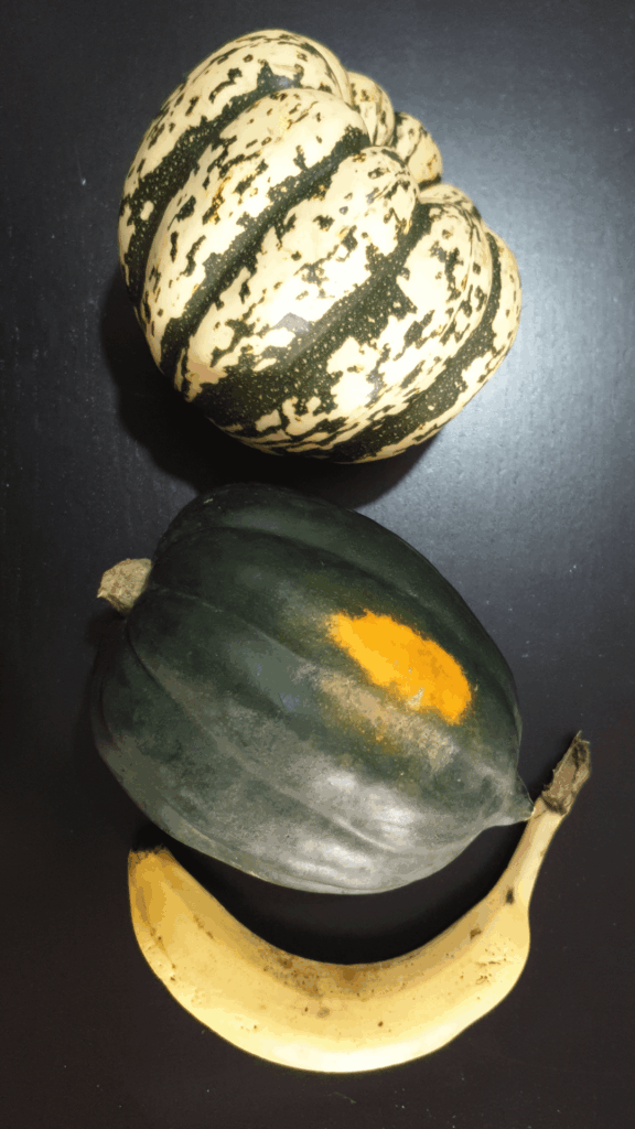 Are these "novelty" squash good eating?