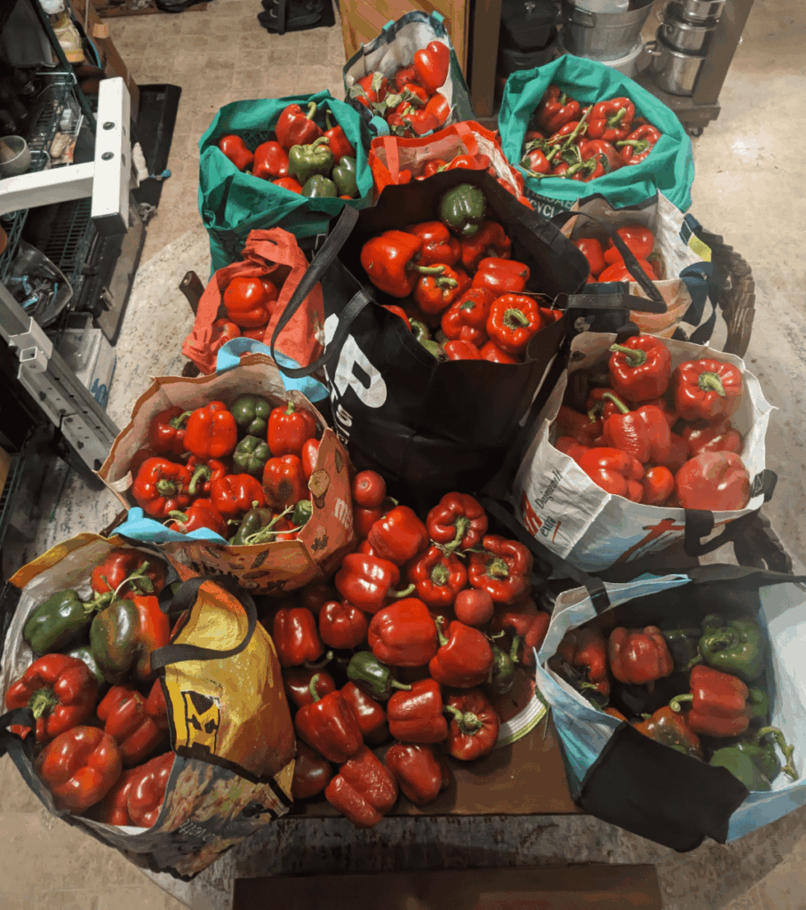 I have a new problem. I would appreciate some suggestions please