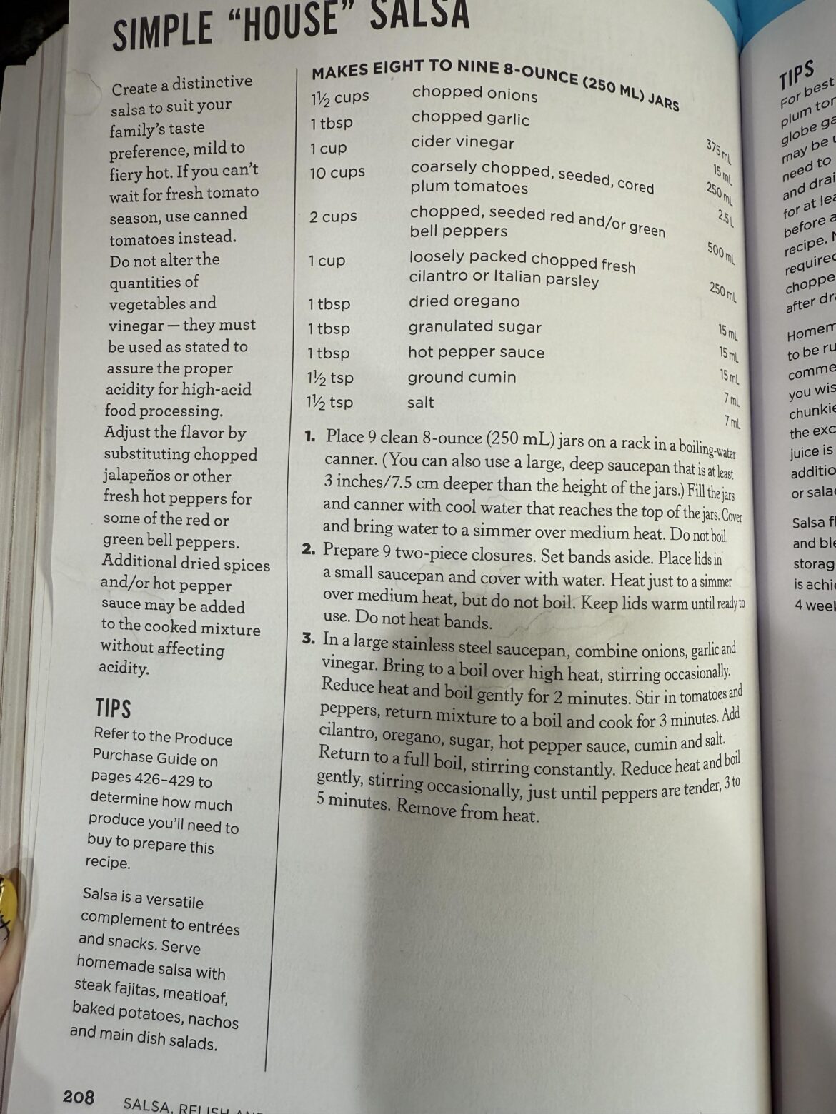 Simple “House” Salsa, no peeling required?