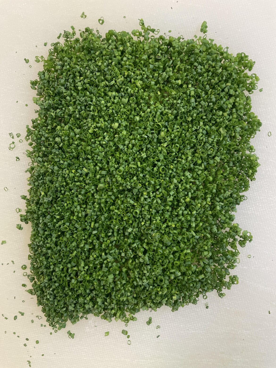 Cutting a cup of chives every day until this Reddit says they’re perfect. Day 18