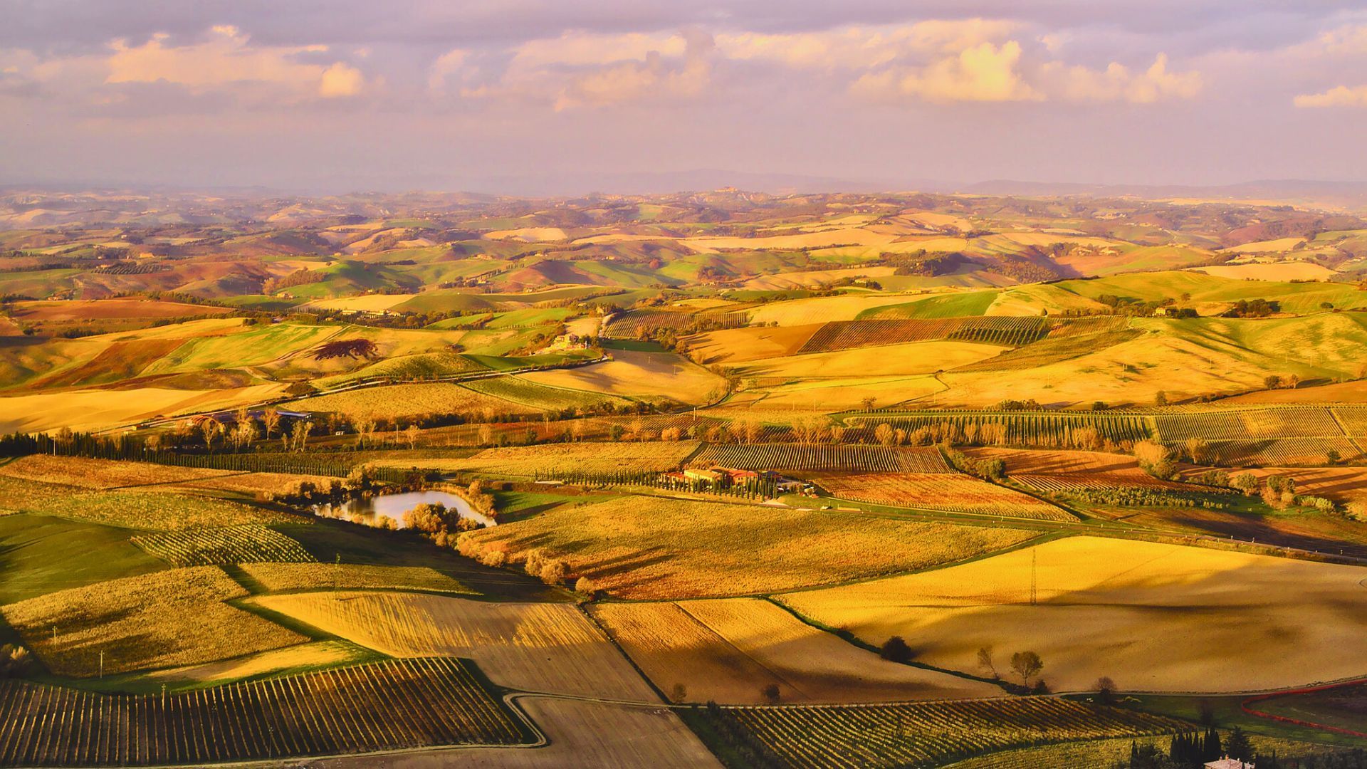 Tuscany wine tasting