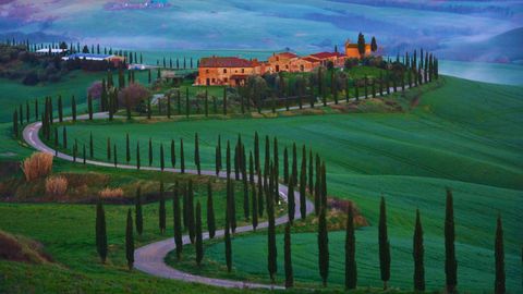 The Defiant Wines Of Tuscany That Changed The Course Of Italian Wine Forever