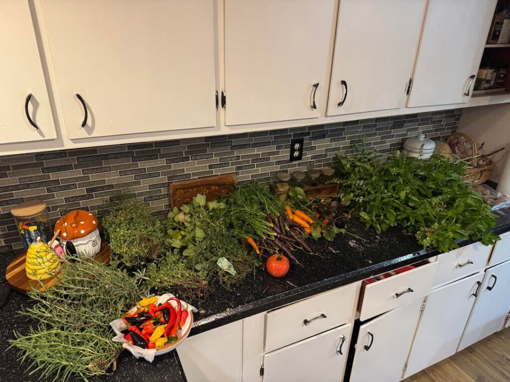 Garden that keeps going and going and going….