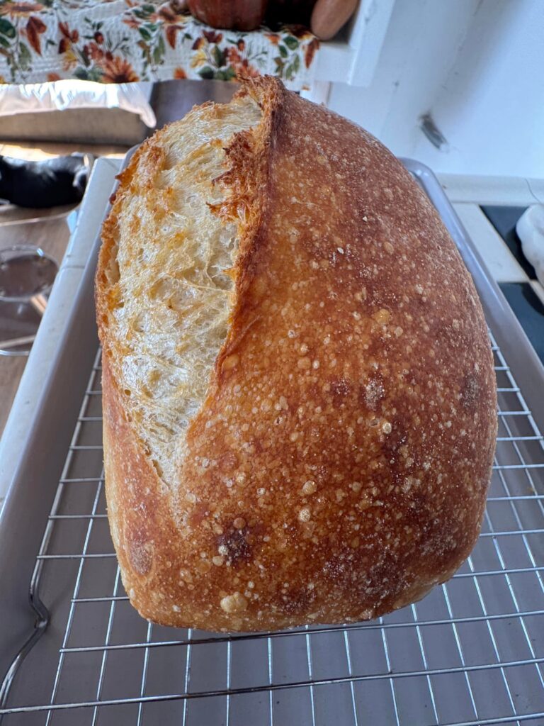 Just wanna know how I’m doin!