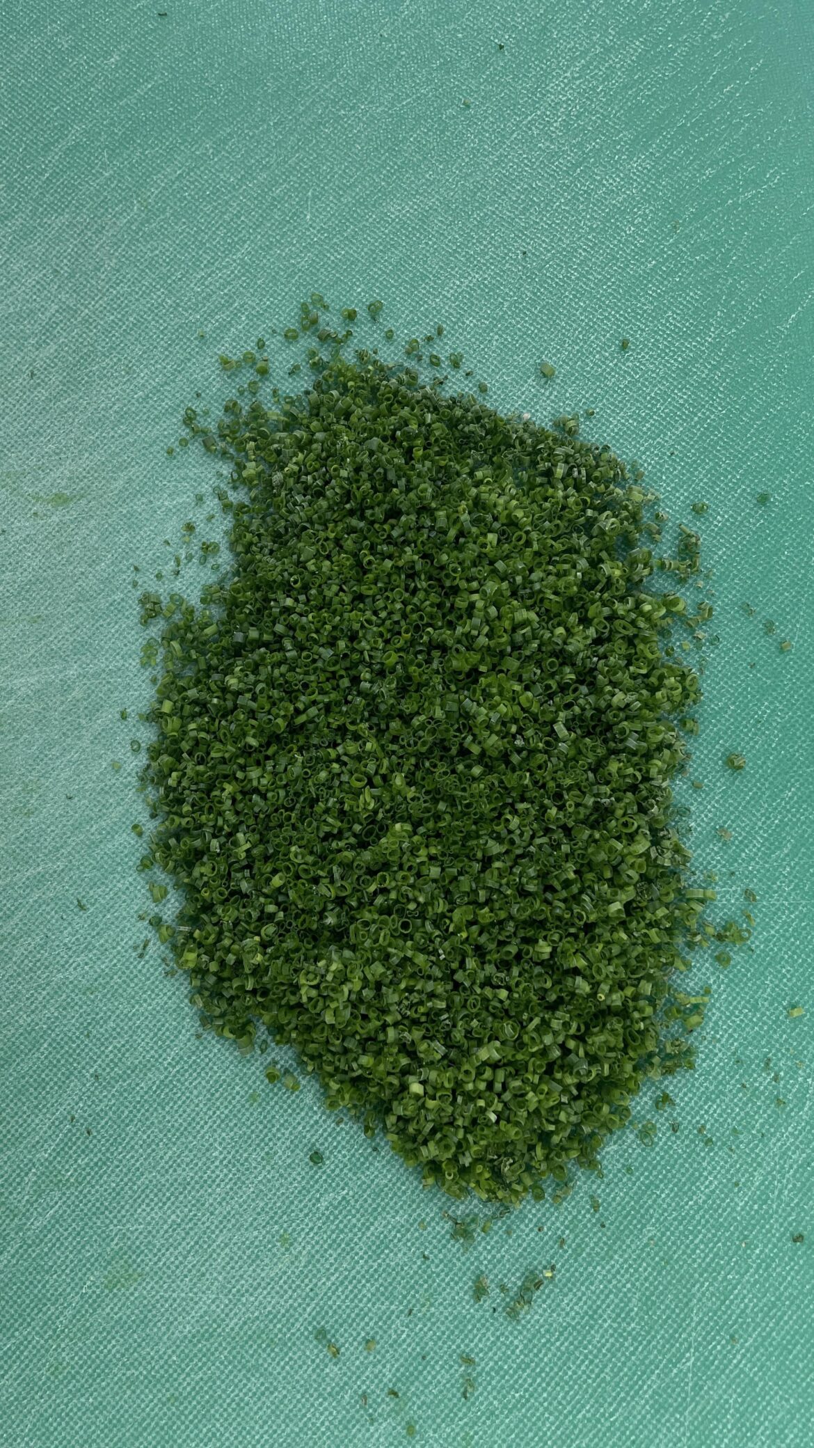 Cutting a cup of chives every day until this Reddit says they’re perfect. Day 12