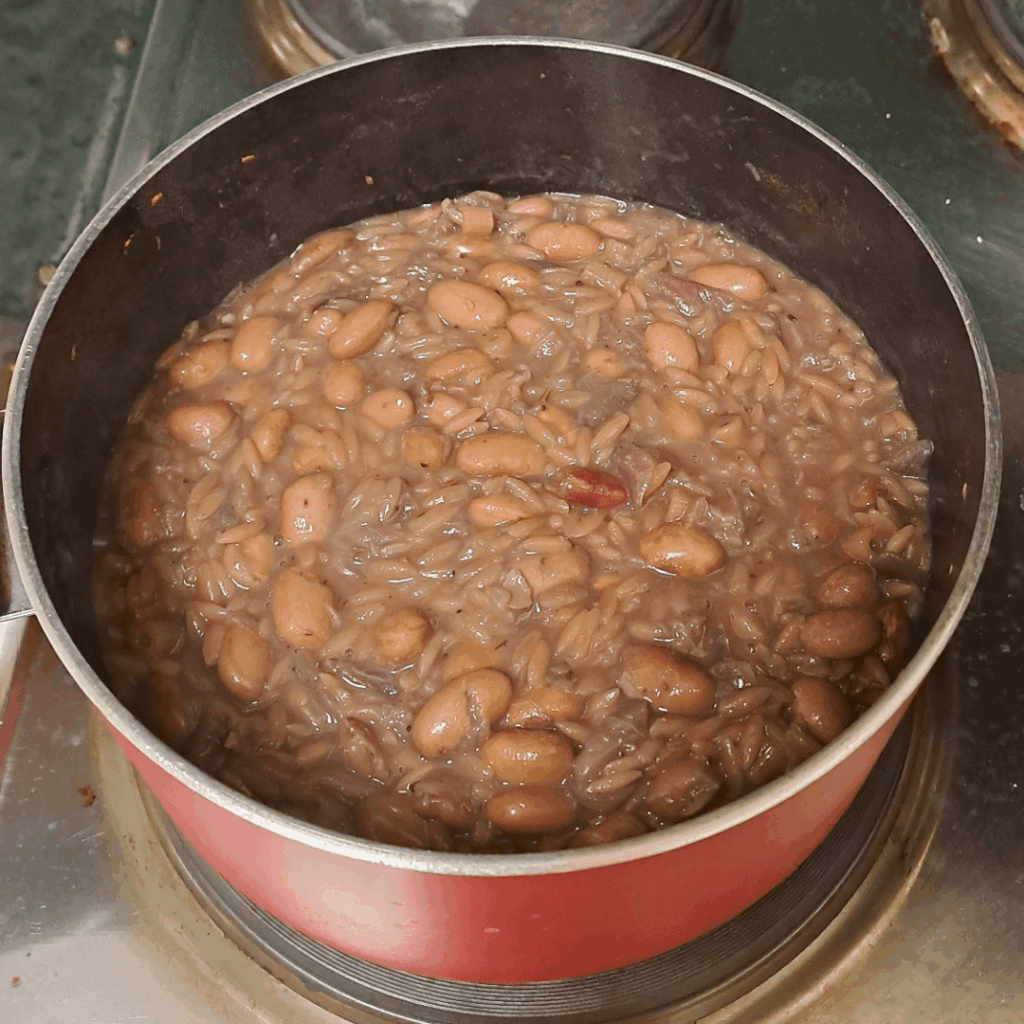 Pasta with borlotti beans and red onions: single course dinner