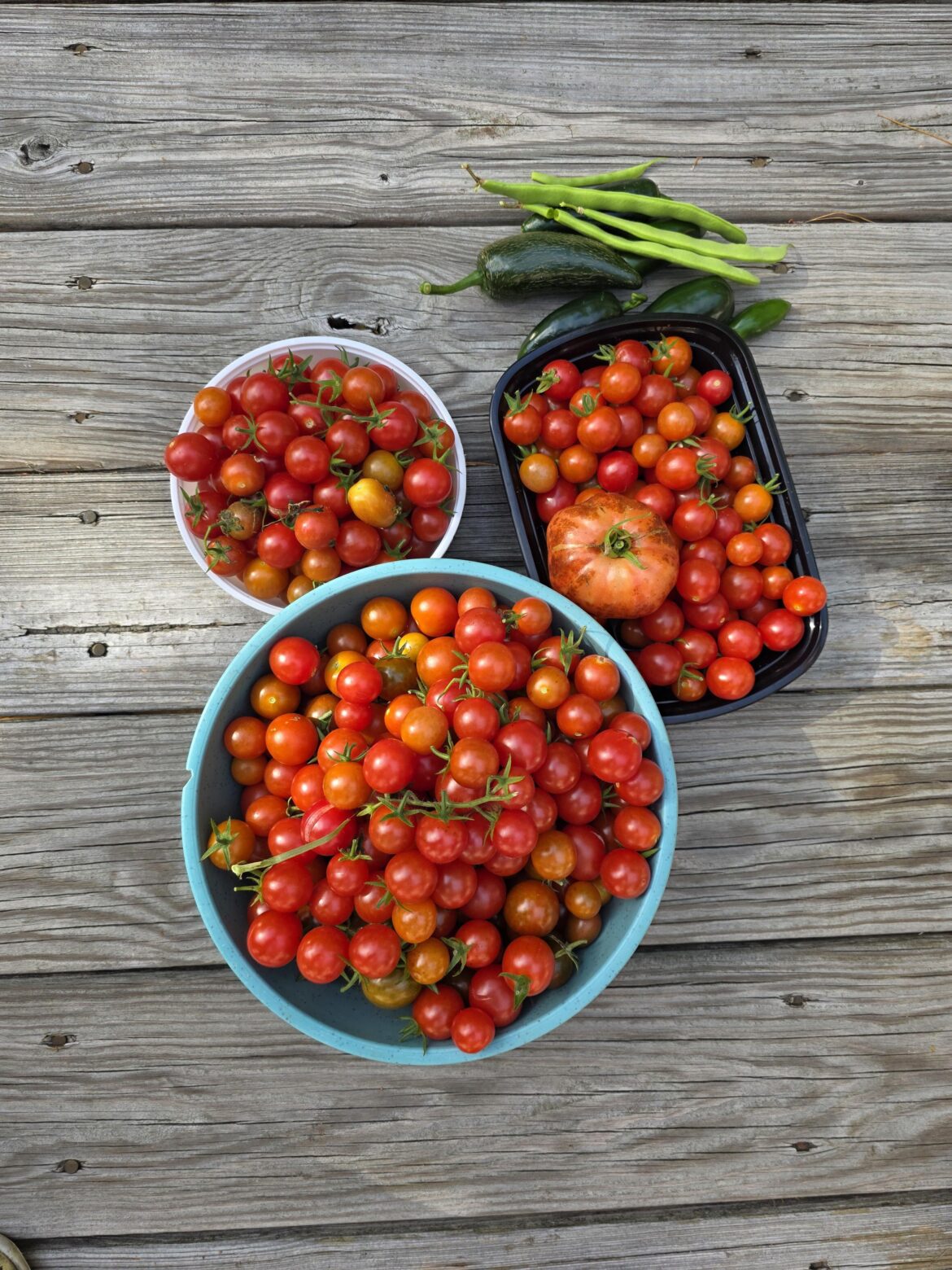 What to do with these many cherry tomatoes?