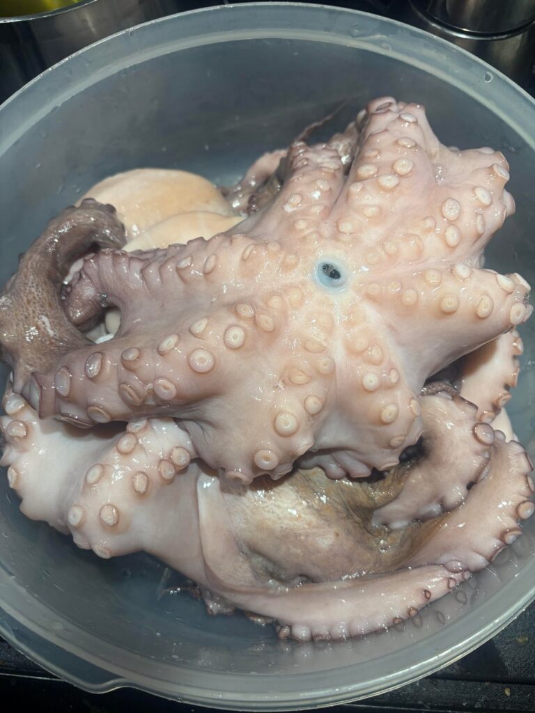 Cortecce al ragù di polpo