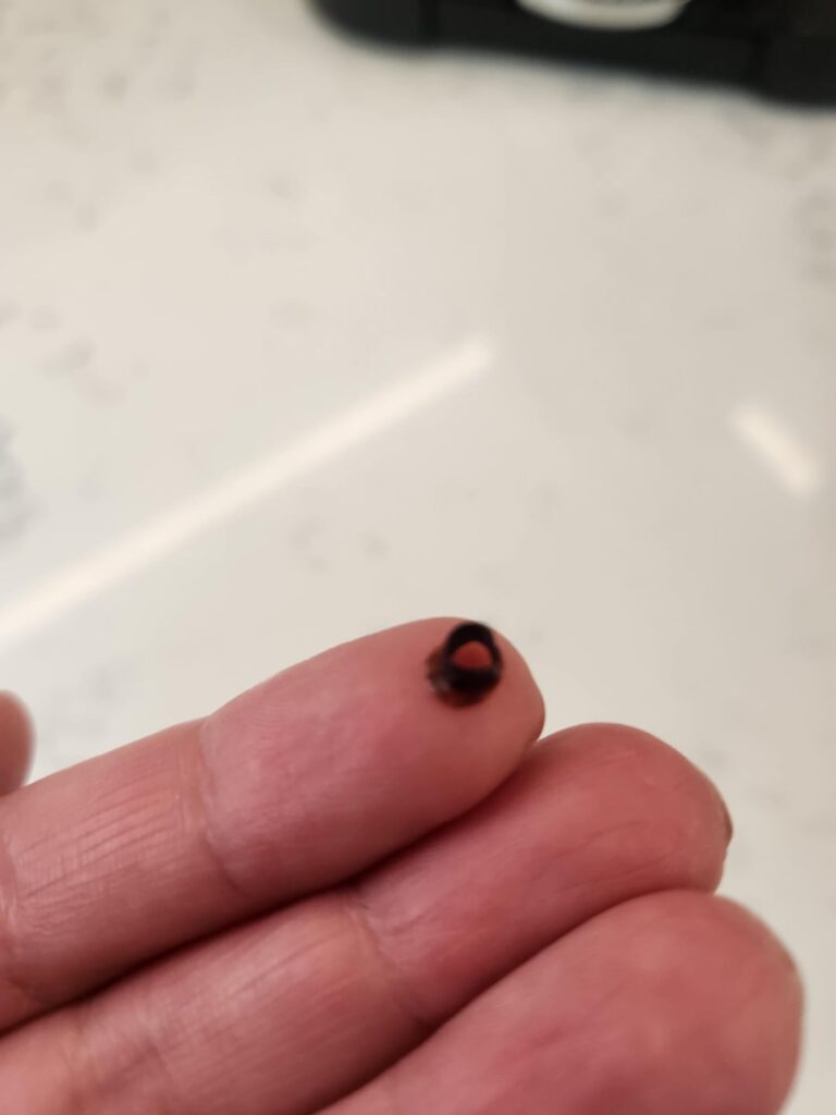 Does anyone know what this is?