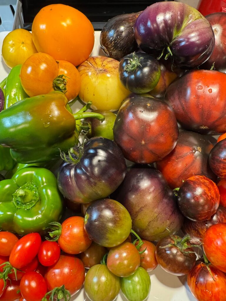 Somehow, they’re still going!