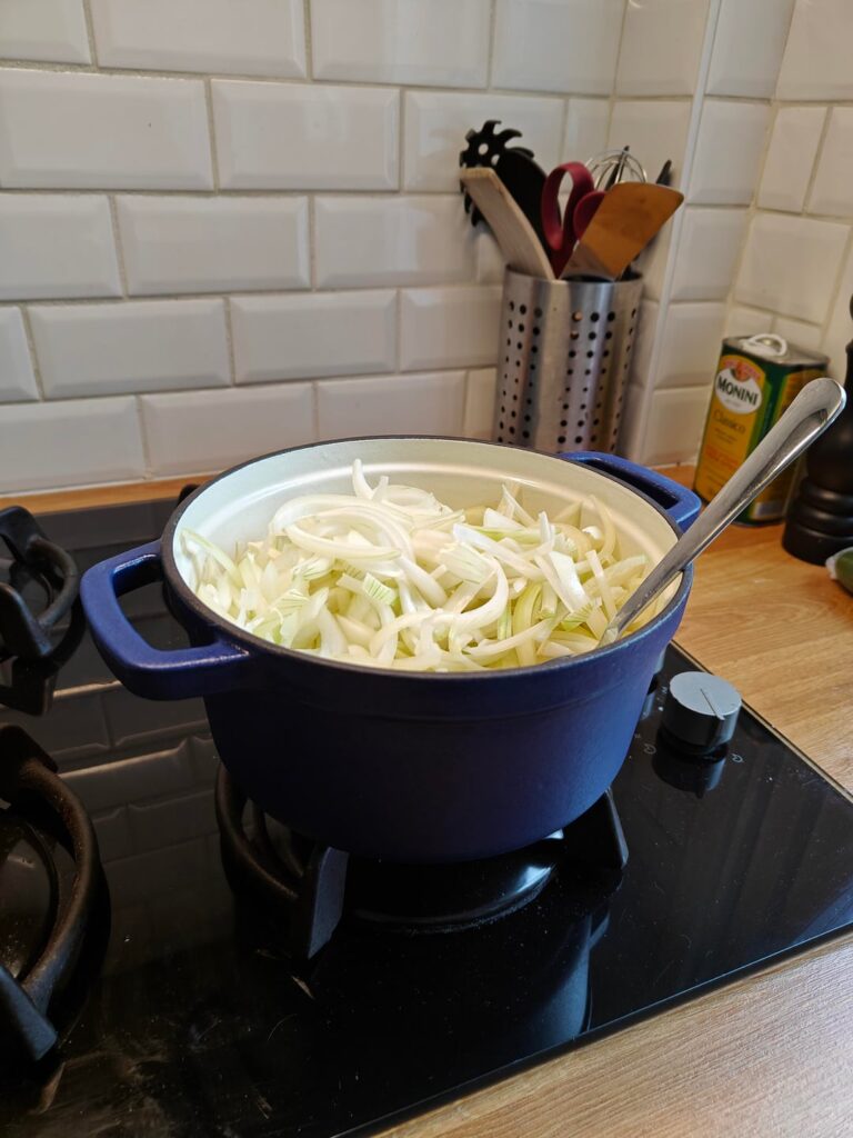 First time making onion soup