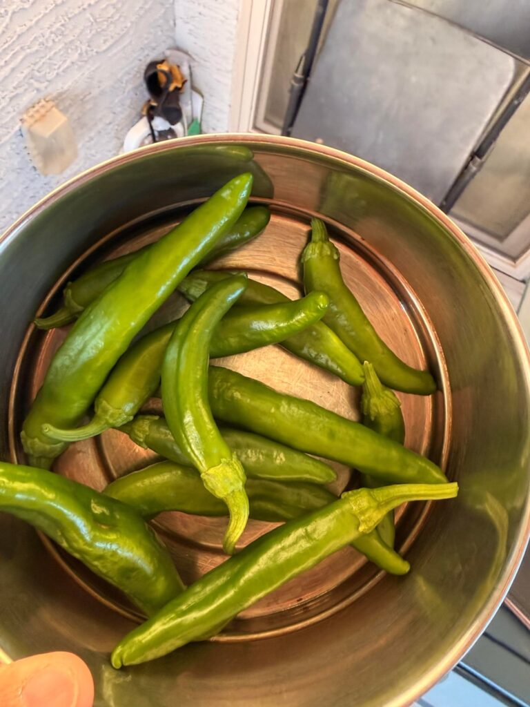Something is eating my pepper plant leaves.