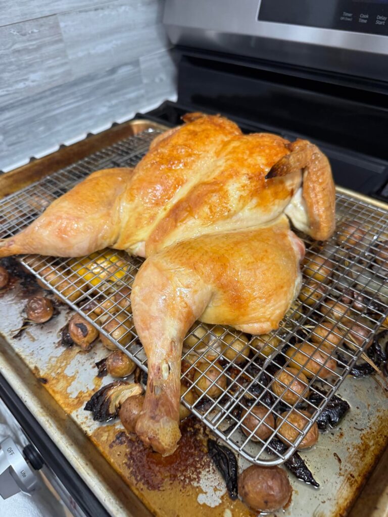 Roasted Chicken over Tiny Potatoes, Onions, and Crushed Garlic
