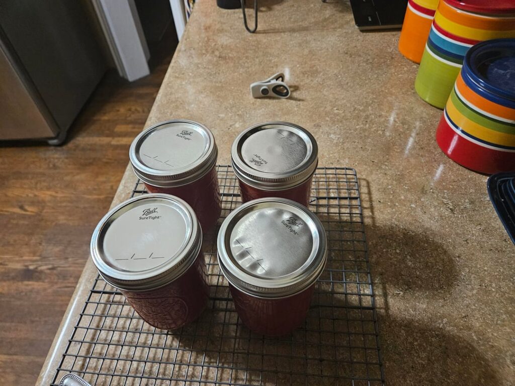 Did these lids fail? Six hours after water bath canning.