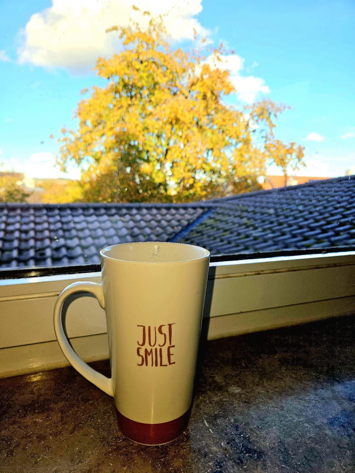 Good morning ☕️🍂🍁