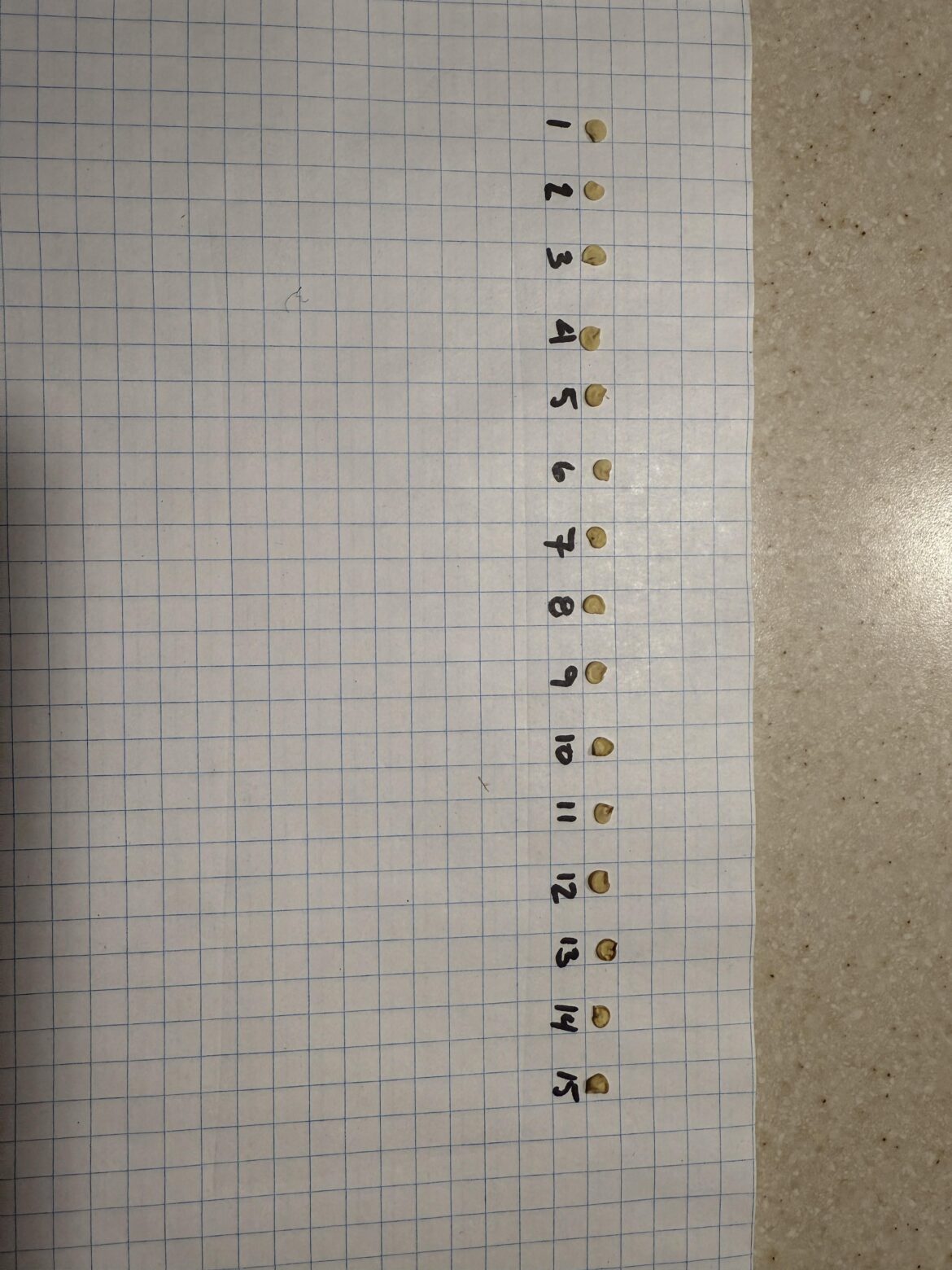 Question to the seed experts; what do we have here? Which ones are good for next year?