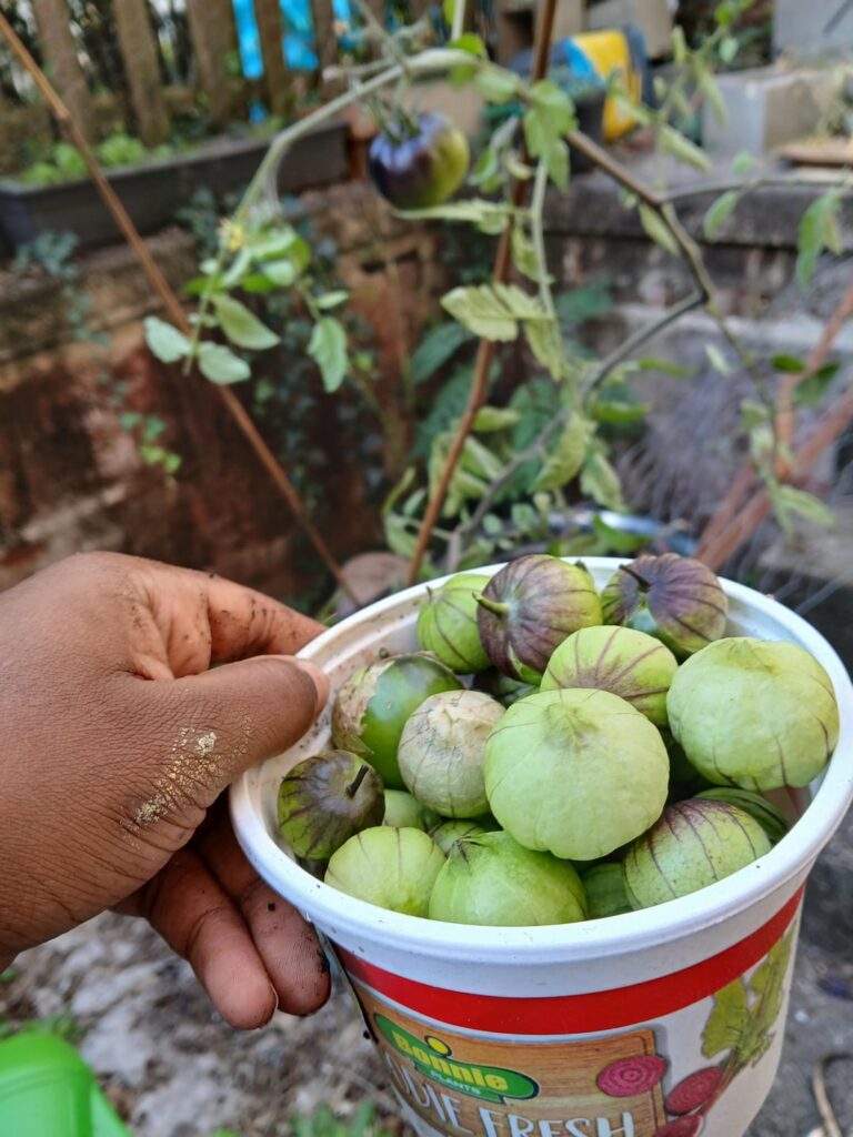 What should I do with them?